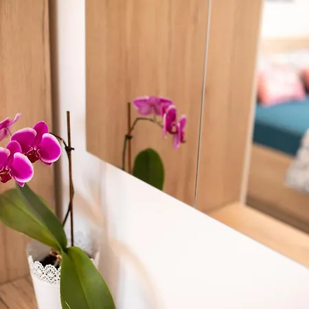 Jelena Appartement *
